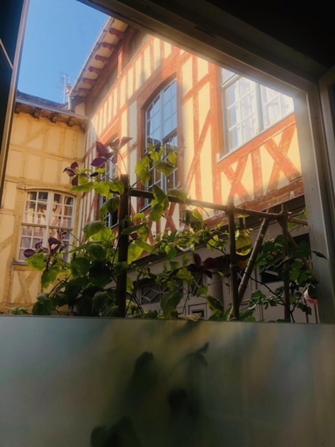Atelier Des Glycines, Troyes Bouchon De Champagne, Sublime Site Patrimonial Appartement Buitenkant foto